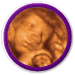 échographie 3D et photo de grossesse